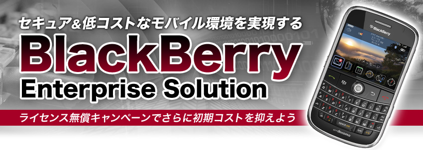 ZLARXgȃoC@BlackBerry Enterprise Solution